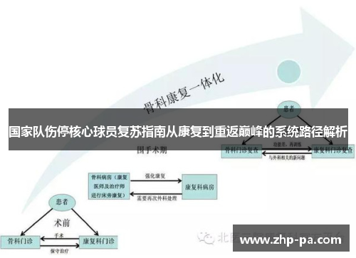 国家队伤停核心球员复苏指南从康复到重返巅峰的系统路径解析